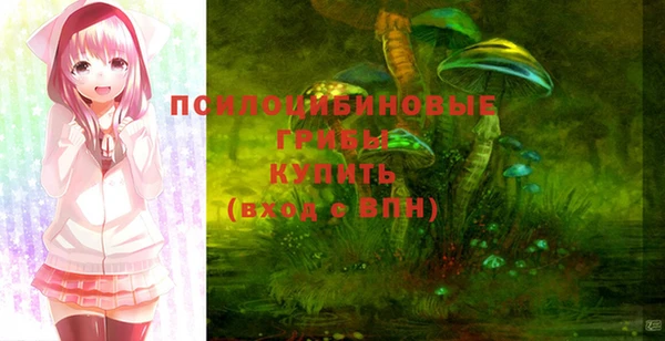 гидра Алзамай